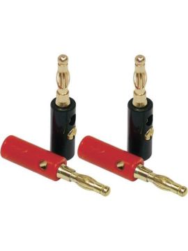 Разъёмы для акустического кабеля