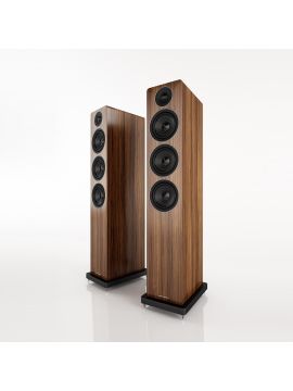 Напольная акустика Acoustic Energy AE120 Walnut