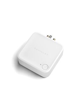 Фонокорректор Devialet Arch (Dialog Music)