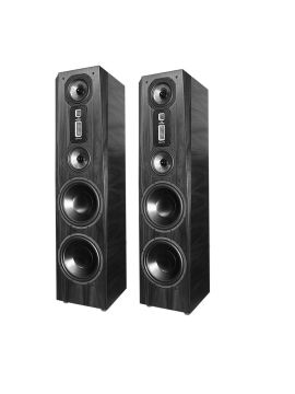 Напольная акустика Legacy Audio Focus SE black oak