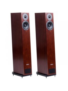 Напольная акустика PMC Twenty 23 amarone