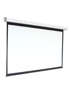 Экран Digis DSEF-4304 (Electra-F, формат 4:3, 120