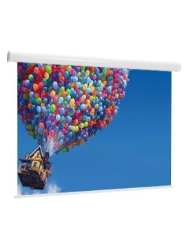Экран Draper Thor Electric NTSC (4:3) 330/130
