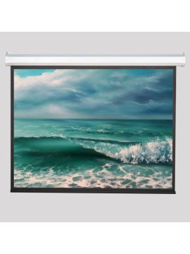 Экран Viewscreen Antis (16:9) 566*374 (554*312) MW