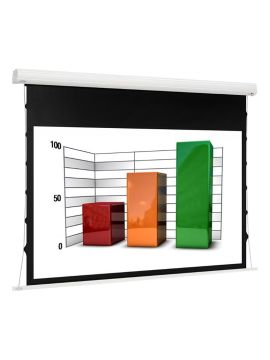 Экран Euroscreen Diplomat Electric Video (4:3) 240*210cm (VA230*172,5) TabT Flexwhite case white