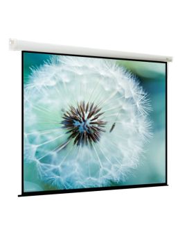 Экран моторизированный Viewscreen Breston (16:10) 366*274 (358*224) MW