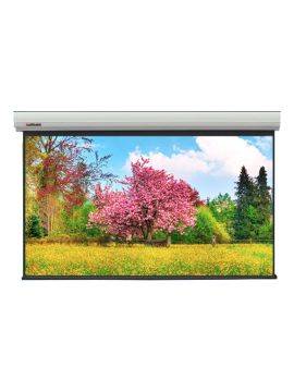Экран Lumien (LMLC-100110A) Master Large Control 448x700 см (раб. область 431x690 см) (320