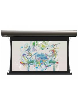 Экран Lumien Cinema Tensioned Control 168x257 см (раб.область 132х235 см) (106