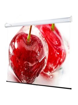 Экран Draper Luma AV (1:1) 84/84