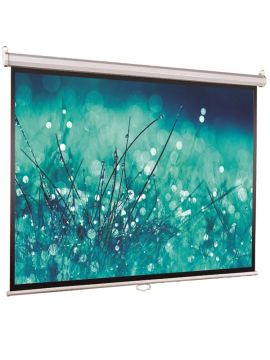 Экран Viewscreen Scroll (4:3) 171*128 (165*122) MW