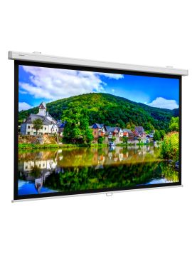 Экран Projecta [10200315] Proscreen CSR 154x240 см (112