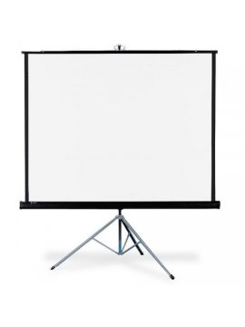 Экран Draper Diplomat NTSC (3:4) 183/72