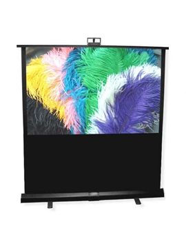 Экран Draper Piper NTSC (3:4) 213/84