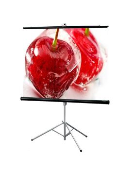 Экран Draper Consul AV (1:1) 60/60