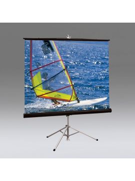 Экран Draper Diplomat/R AV (1:1) 84/84