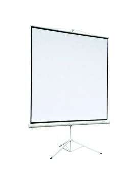 Экран Digis DSKD-1106 (Kontur-D, формат 1:1, 112