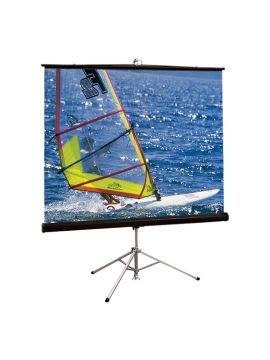 Экран Draper Diplomat/R AV (1:1) 70/70