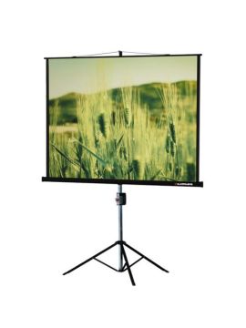 Экран Lumien Master View 220x220 см Matte White FiberGlass LMV 100111