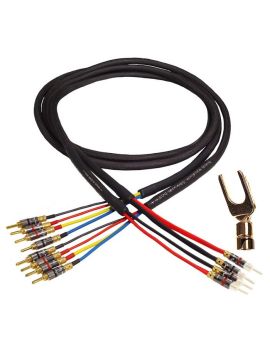 Акустический кабель Black Rhodium Polar Samurai DCT++ BW 2.5m