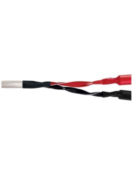 Акустический кабель Wire World Luna 8 Speaker Cable 2.0m Pair (BAN-BAN) (LUS2.0MB-8)