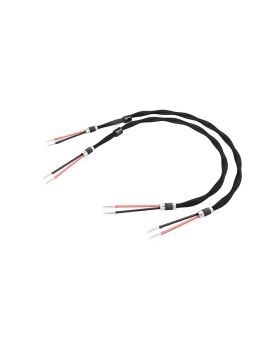 Акустический кабель Esprit Celesta Banana 2.5 м