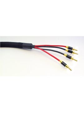 Акустический кабель Purist Audio Design Venustas Bi-Wire 2.5m (banana) Luminist Revision