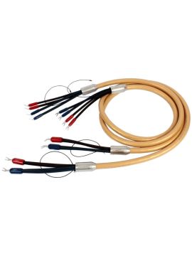 Акустический кабель Van Den Hul Mounted set 3T The Cumulus Hybrid 4m BERRI (2-2) gold