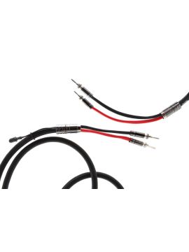 Акустический кабель Atlas Mavros Grun 2-2, Transpose Z gold - 3.00 метра