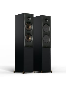Напольная акустика Revival Audio SPRINT 4 matte black