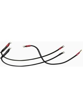 Перемычки Synergistic Research Core IFT Jumpers blade (4 шт.)