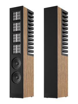 Напольная акустика Piega Master Line Source 2 Gen 2 Baffle anodised black / Zebrano