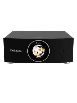 Интегральный усилитель Cabasse Abyss