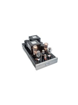 Ламповый усилитель мощности Cary Audio CAD 211 FE silver