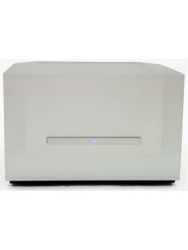 Усилитель мощности Constellation Audio Perfomance Centaur II 500 Stereo Amplifier Silver