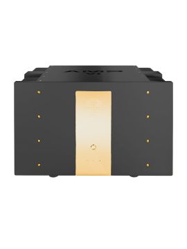 Усилитель мощности Accustic Arts AMP VI black-gold edition