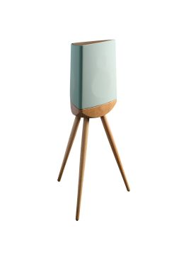 Полочная акустика Lyngdorf Cue-100 dusty green with wood base