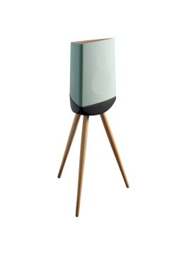 Полочная акустика Lyngdorf Cue-100 dusty green with black base