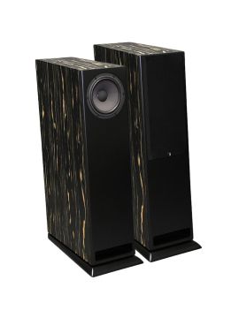 Напольная акустика Davis Acoustics MV ONE Master ebony black